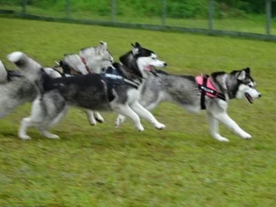 DSC08894.JPG