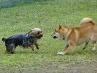 DSC08904.JPG