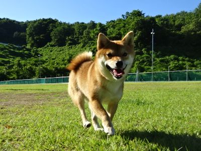 DSC09045.JPG