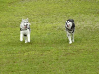 DSC09094.JPG