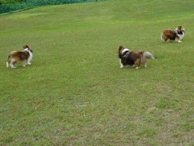 DSC09281.JPG