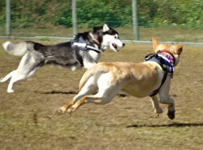 DSC09378.JPG
