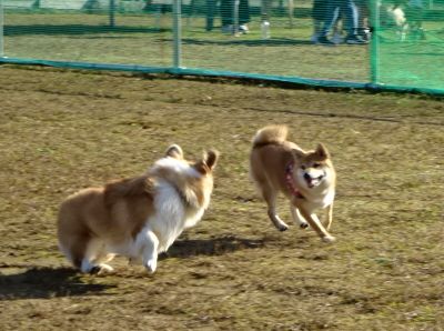 DSC09635.JPG