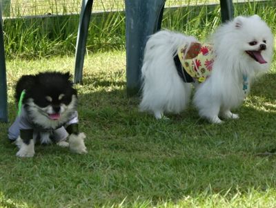DSC09729.JPG