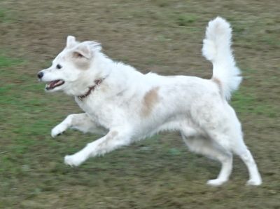 DSC09781.JPG
