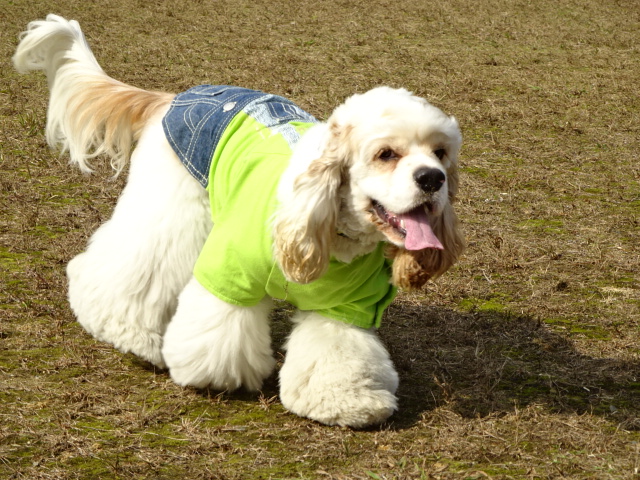 DSC09951.JPG