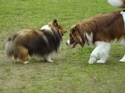 DSC00517.JPG