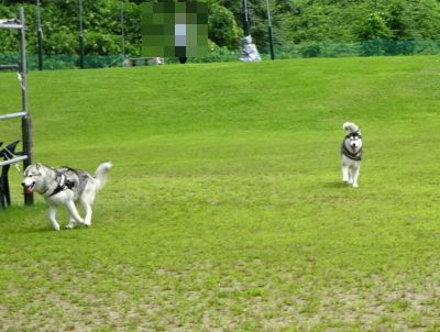 DSC00703.JPG
