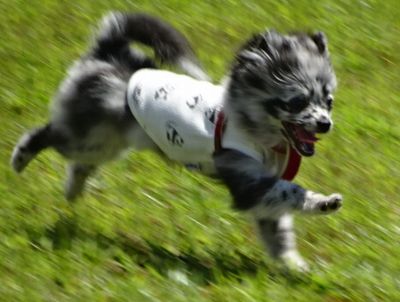 DSC00728.JPG