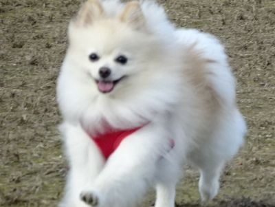 DSC01435.JPG