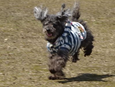 DSC05915.JPG