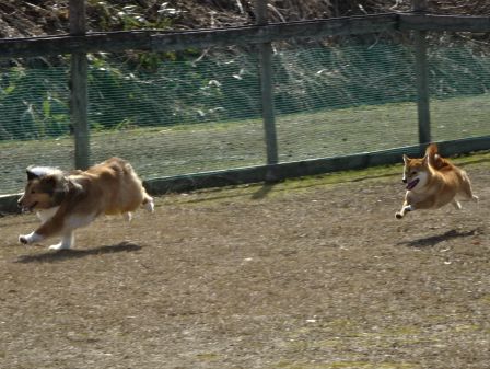 DSC05963.JPG
