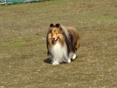 DSC05975.JPG