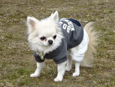 DSC05994.JPG