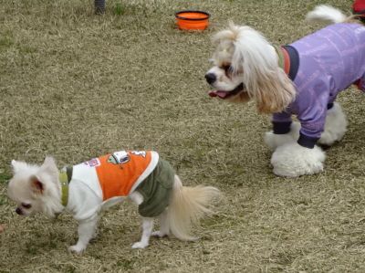 DSC06572.JPG