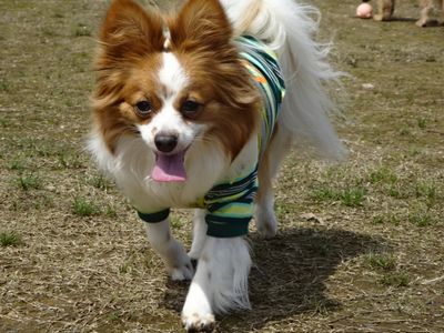 DSC06627.JPG