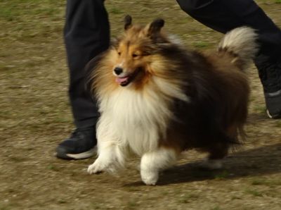 DSC06709.JPG