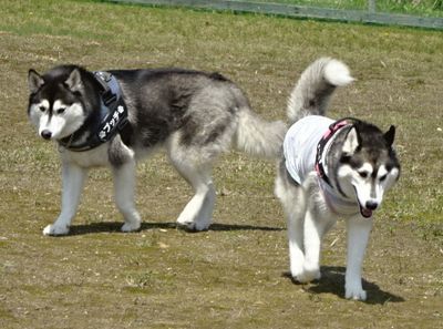 DSC06939.JPG