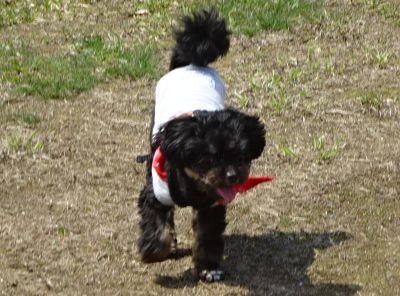DSC07022.JPG