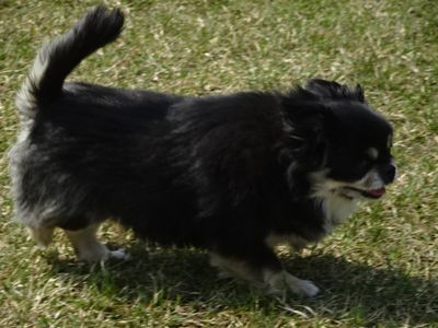 DSC07037.JPG