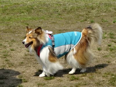 DSC07040.JPG