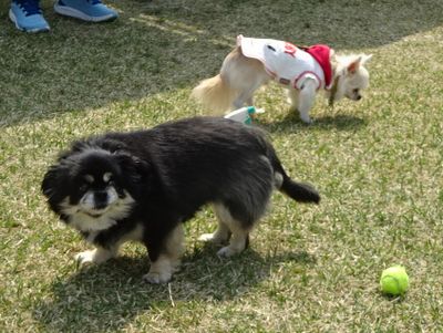DSC07053.JPG