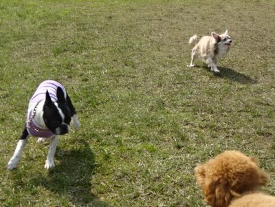 DSC07110.JPG