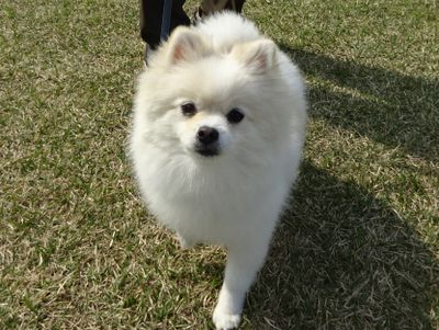 DSC07112.JPG