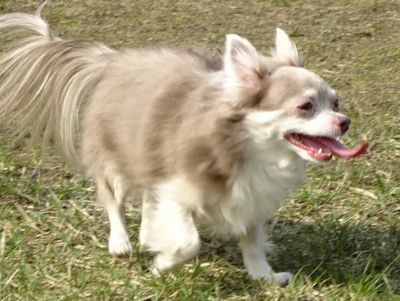 DSC07118.JPG