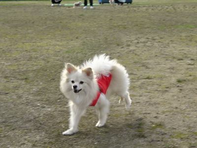 DSC07130.JPG