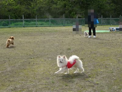 DSC07131.JPG