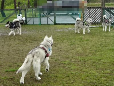 DSC07237.JPG