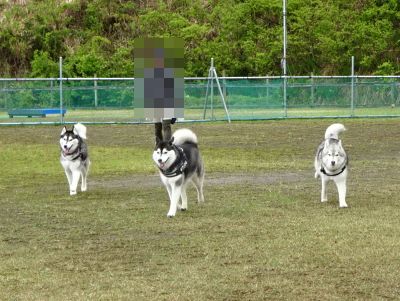 DSC07258.JPG