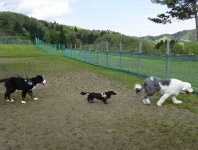 DSC07509.JPG