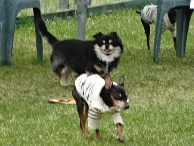 DSC07780.JPG
