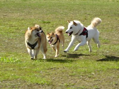 DSC07930.JPG