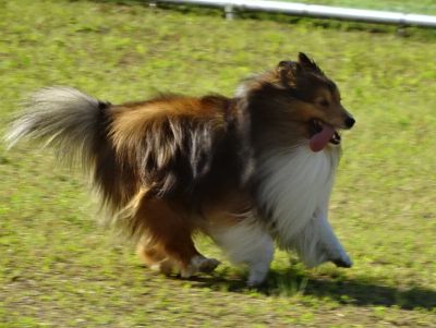 DSC08583.JPG