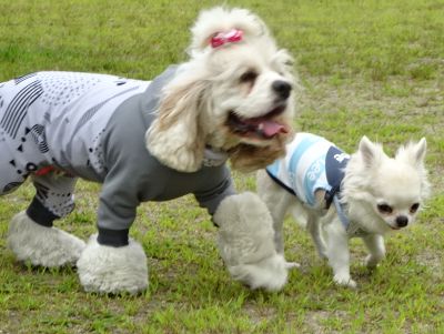 DSC08723.JPG