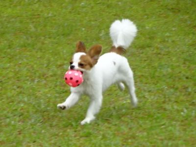 DSC08757.JPG