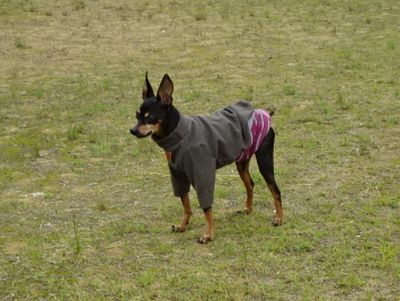 DSC08774.JPG