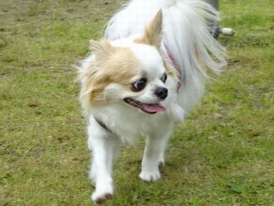 DSC08800.JPG