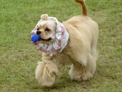 DSC08885.JPG