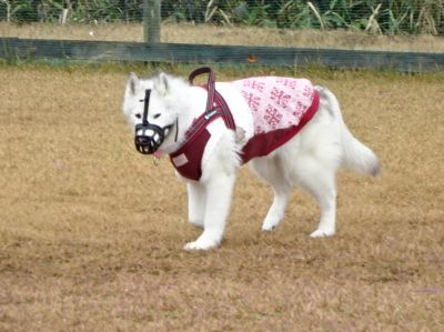 DSC09456.JPG