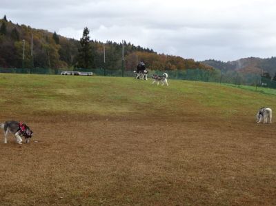 DSC09457.JPG