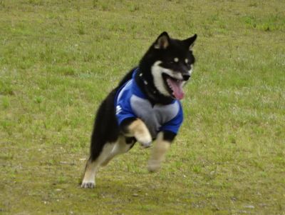 DSC09623.JPG