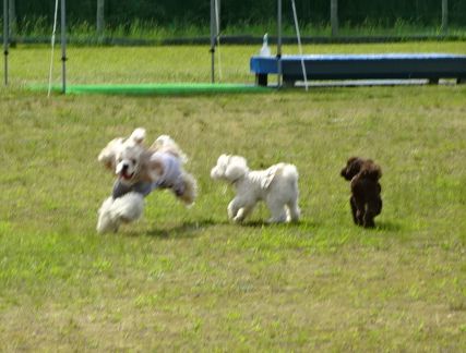 DSC09807.JPG