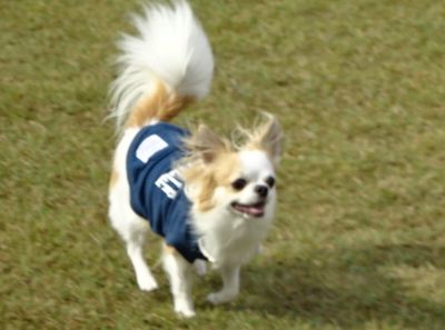 DSC09814.JPG