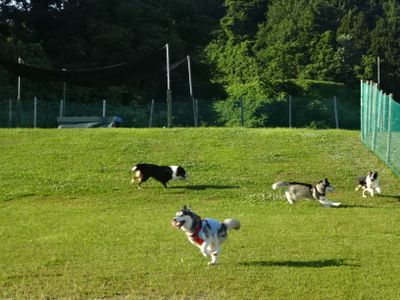 DSC00341.JPG