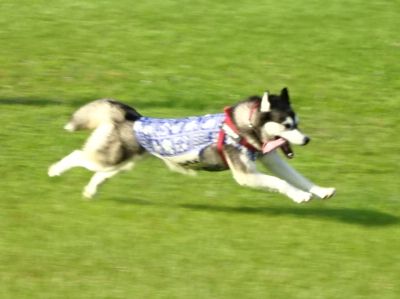 DSC00693.JPG
