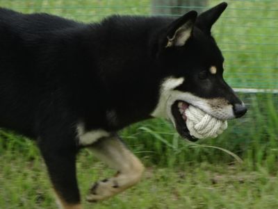 DSC04281.JPG